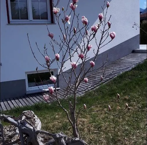 Διαμέρισμα Schoell