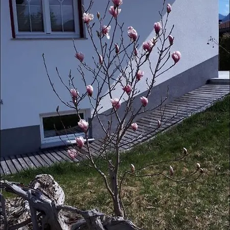Apartman Schoell